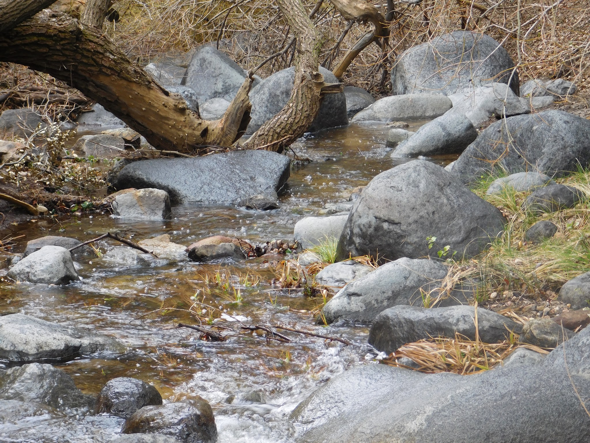 Cibbets Flat Campground
