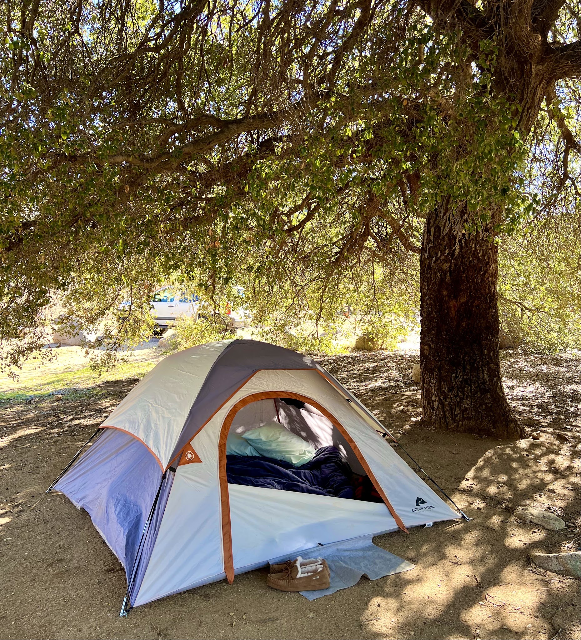 Cibbets Flat Campground