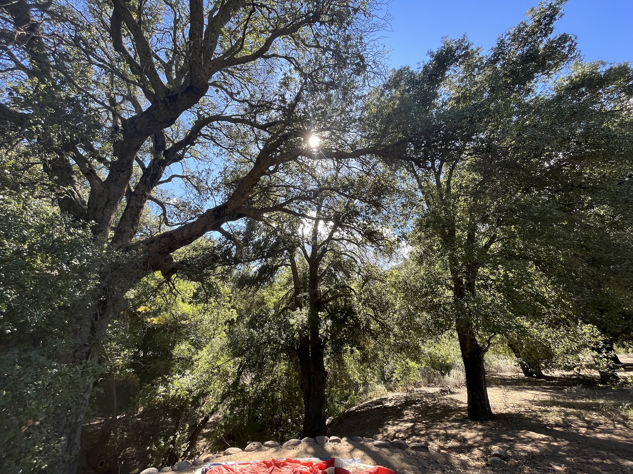 Cibbets Flat Campground