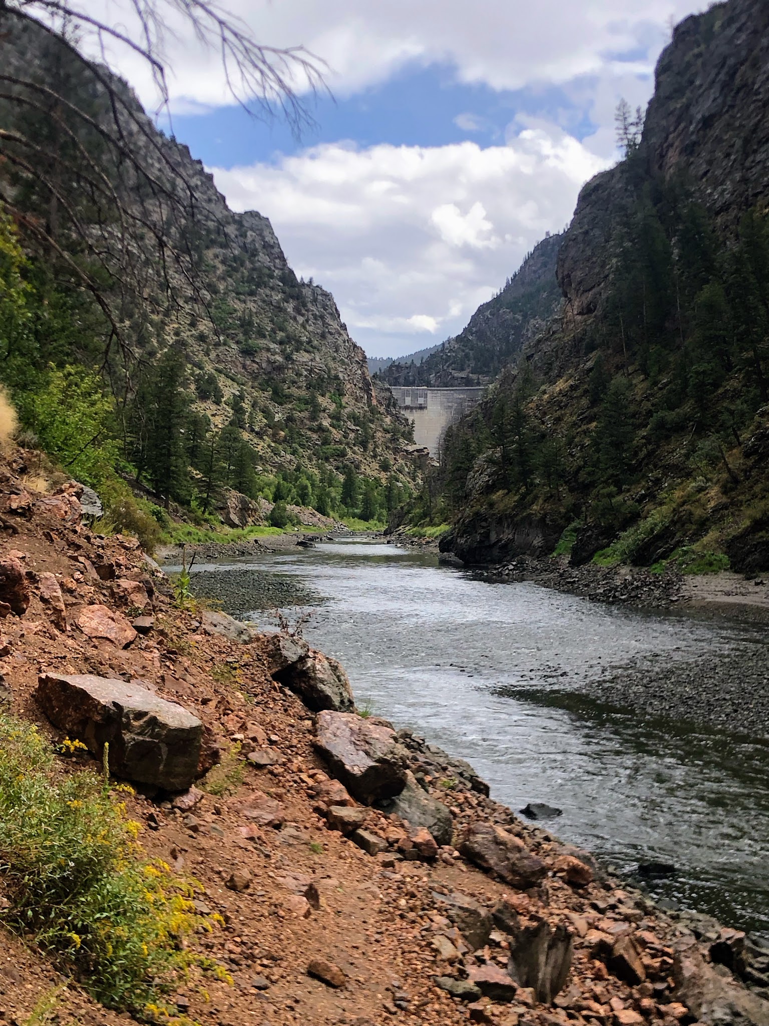 Cimarron Campground (Co)