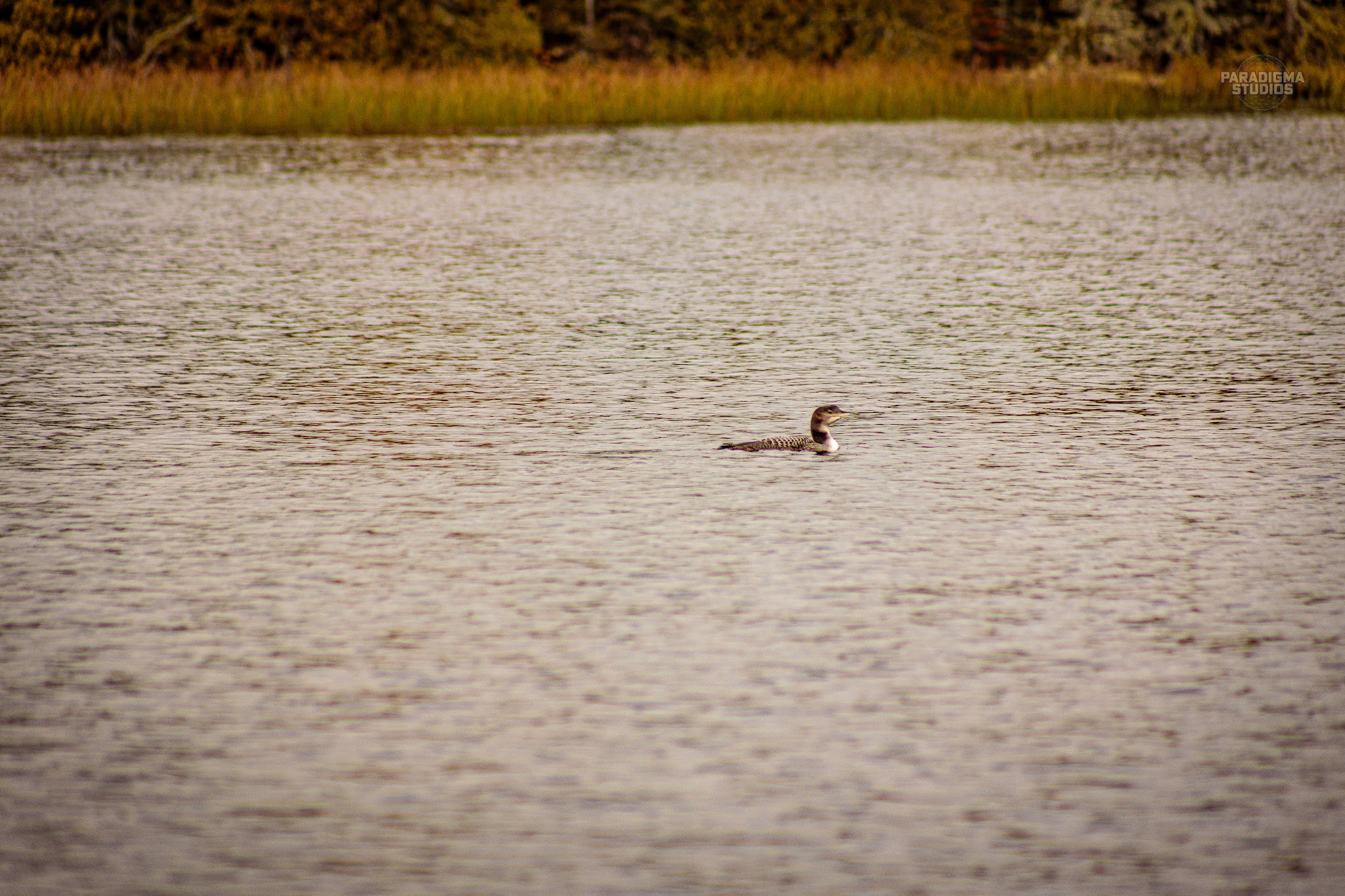 Clara Lake Rustic Campground