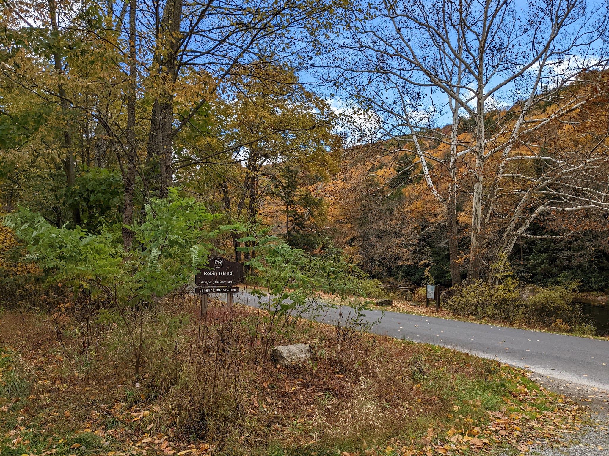 Clarion River Campsites