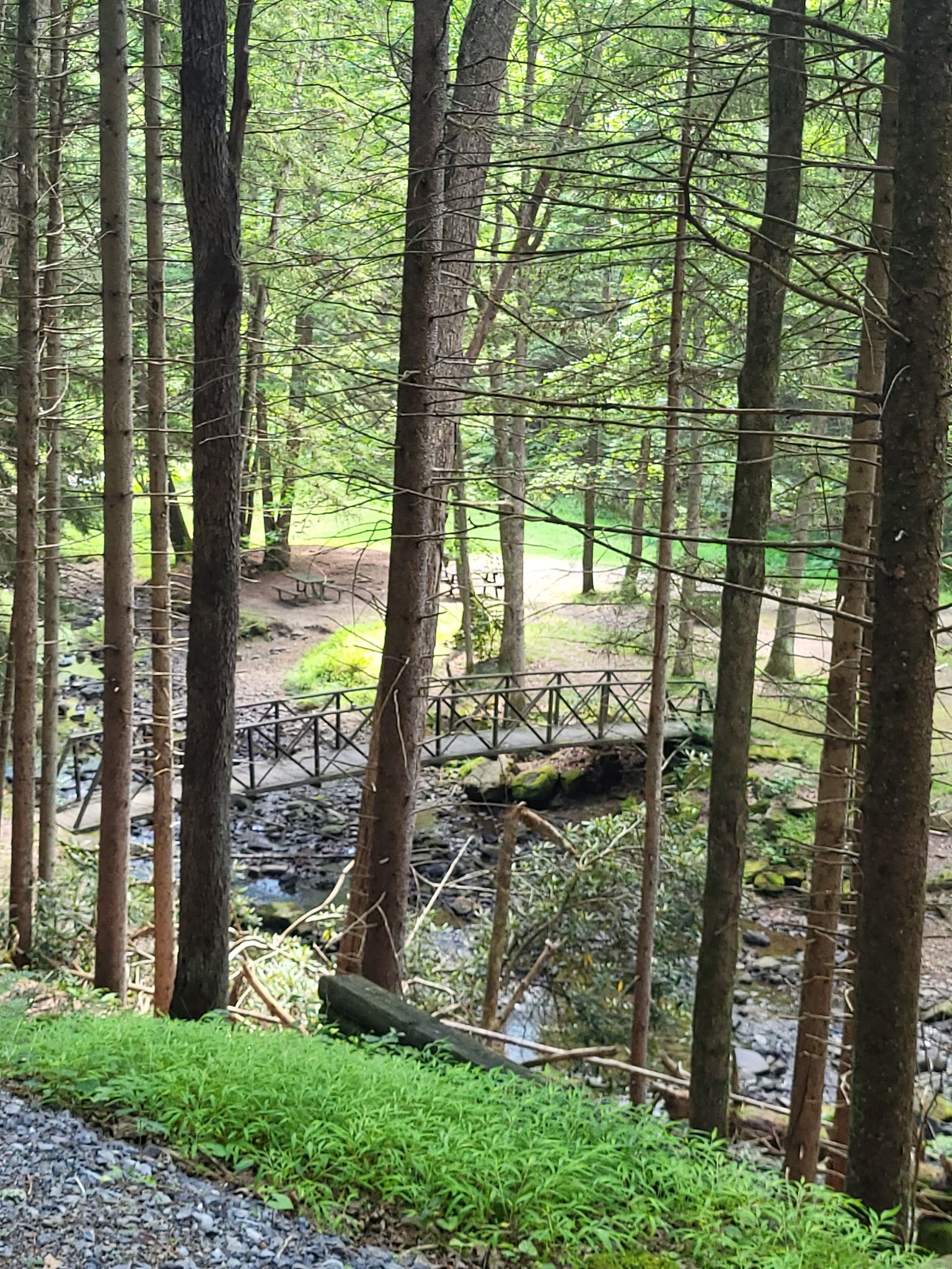 Clarion River Campsites