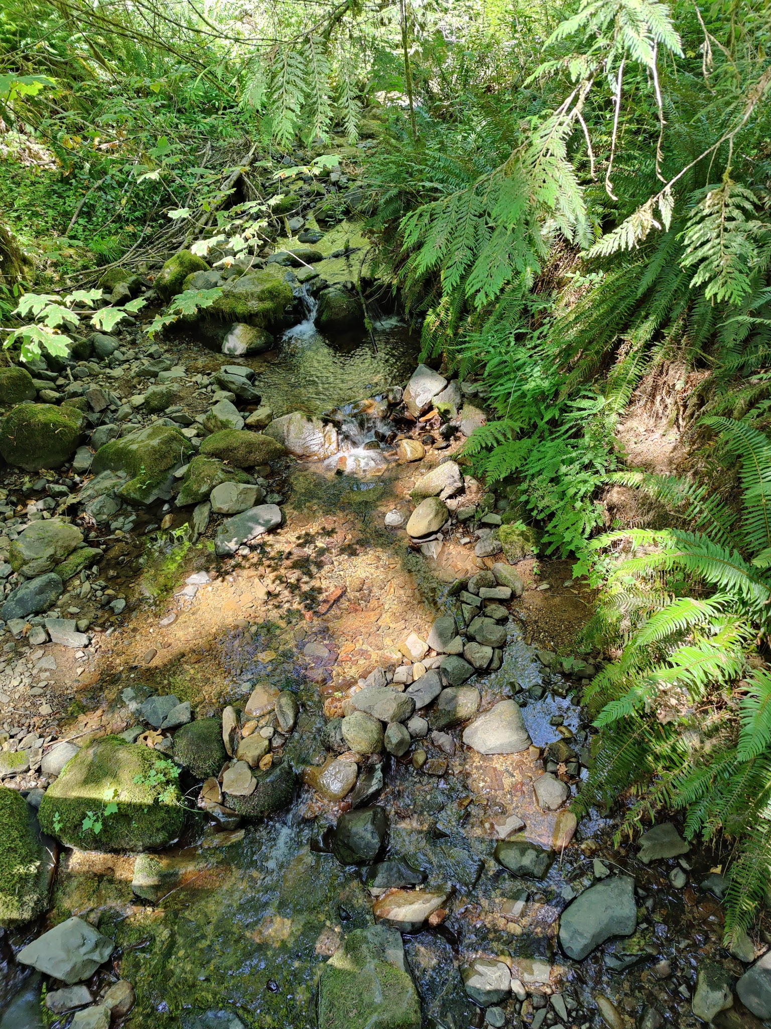 Clark Creek Organization Camp