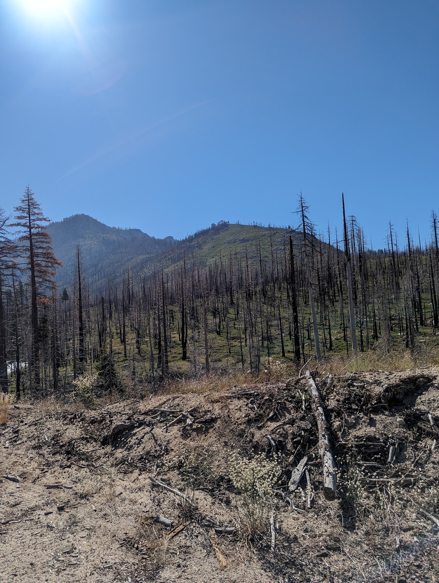 Clark Fork Campground