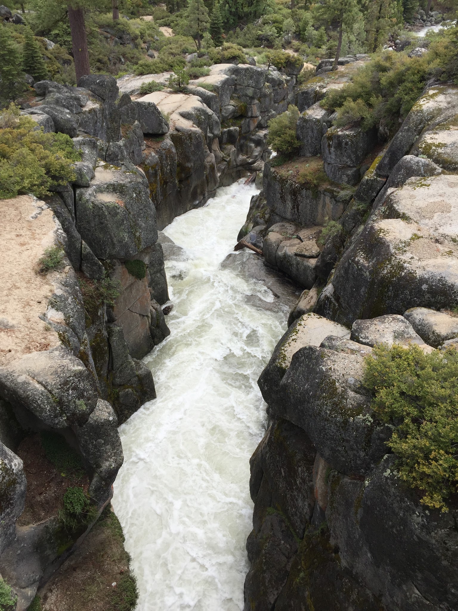 Clark Fork Campground