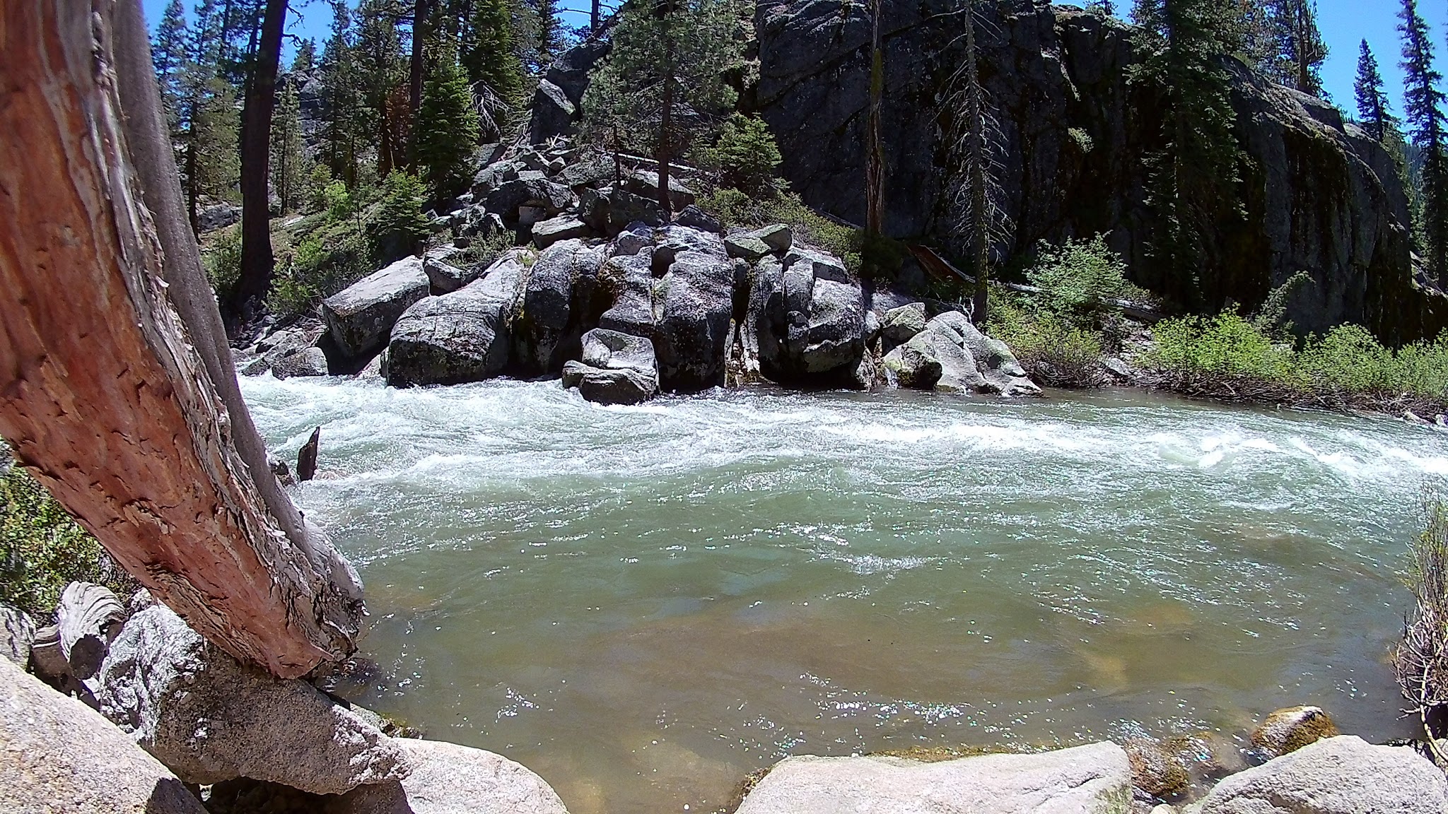 Clark Fork Campground