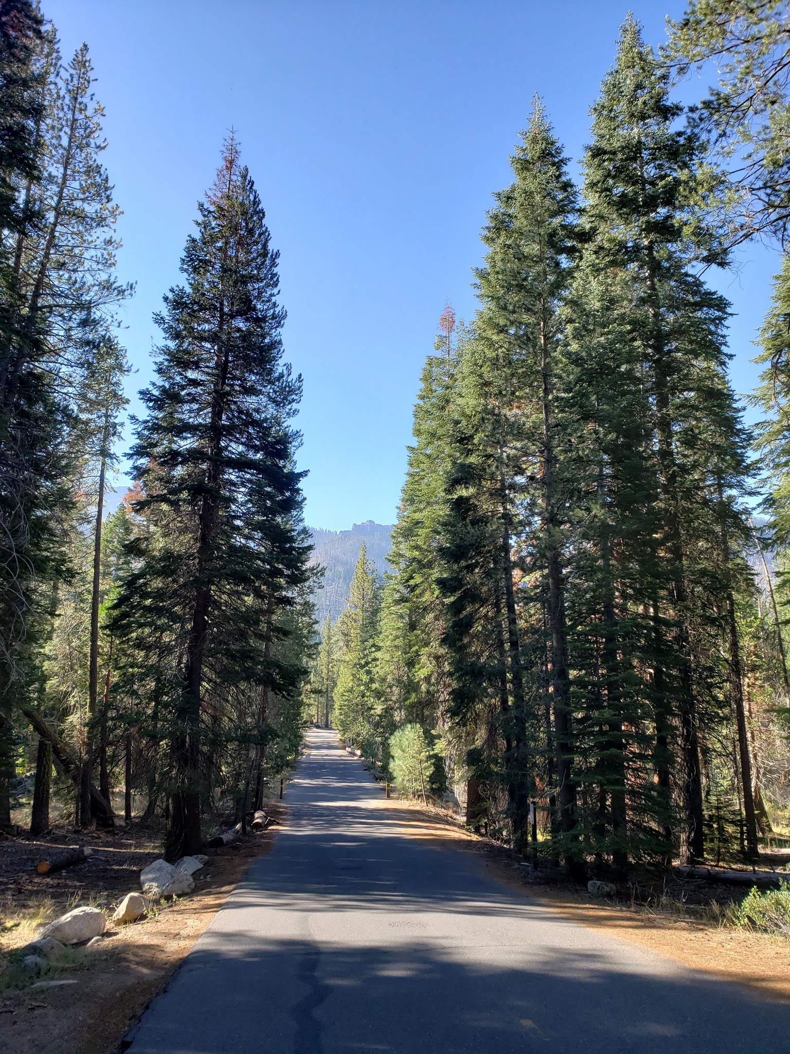 Clark Fork Campground