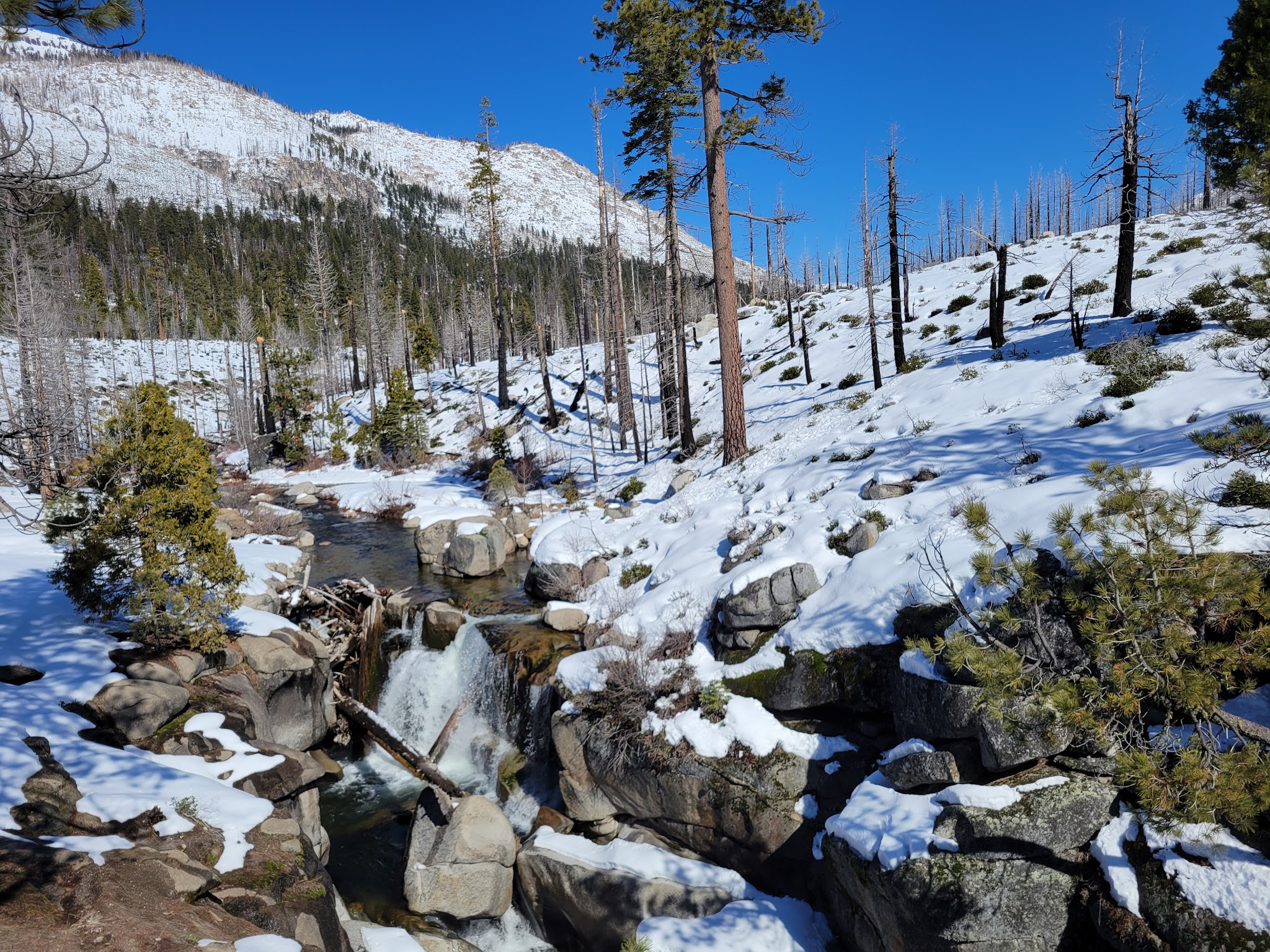 Clark Fork Campground