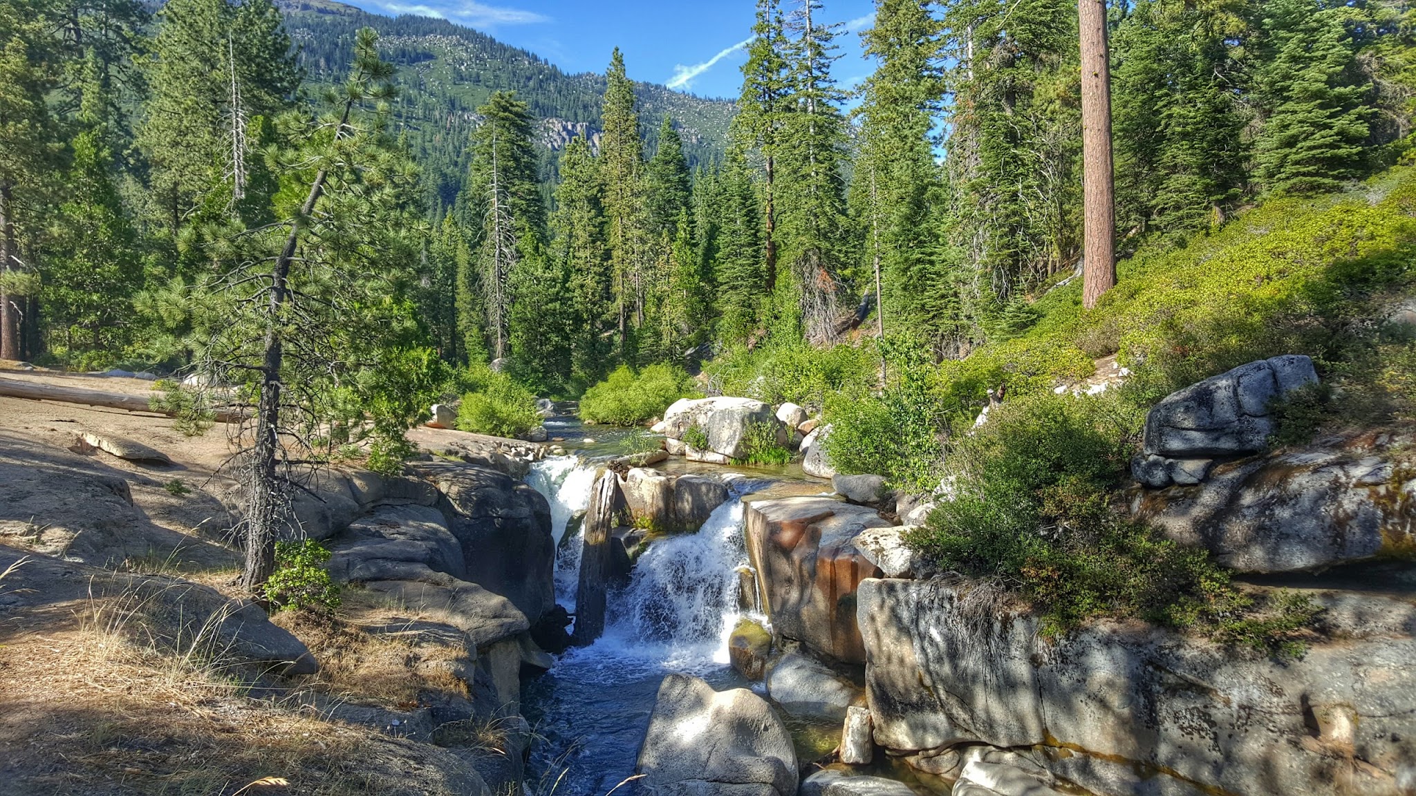 Clark Fork Campground