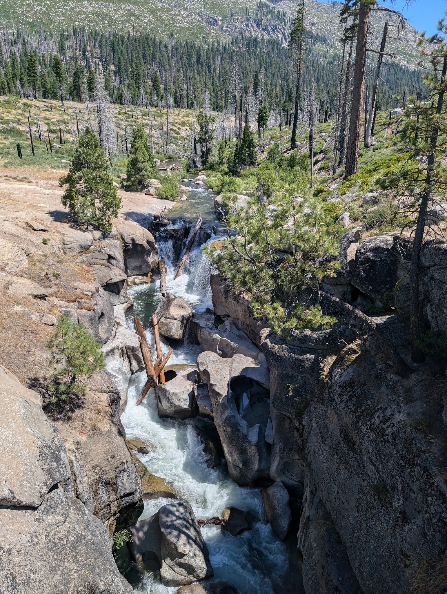 Clark Fork Campground