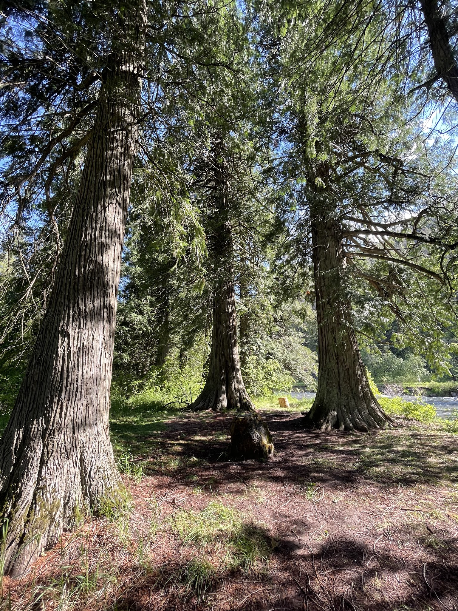 Clark Memorial Campground