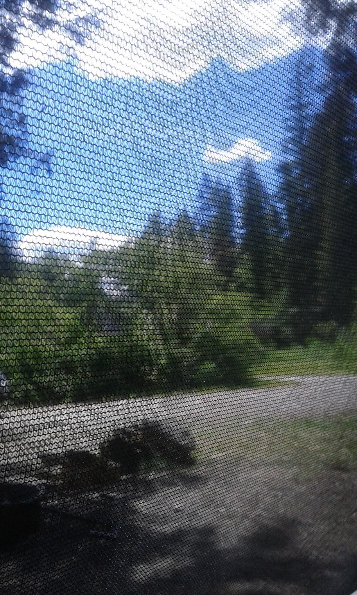 Clark Memorial Campground