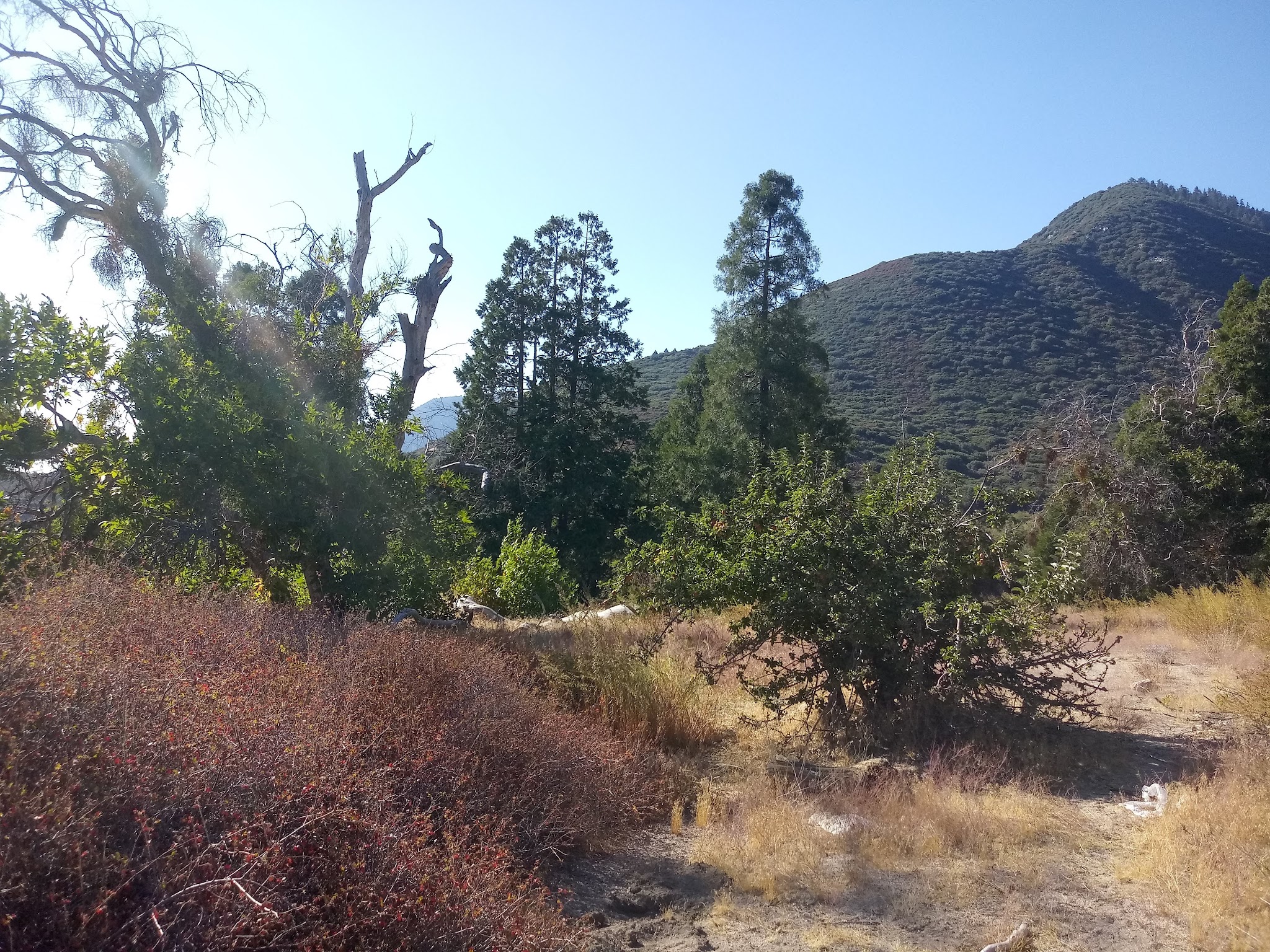 Clark'S Ranch Yellow Post Site