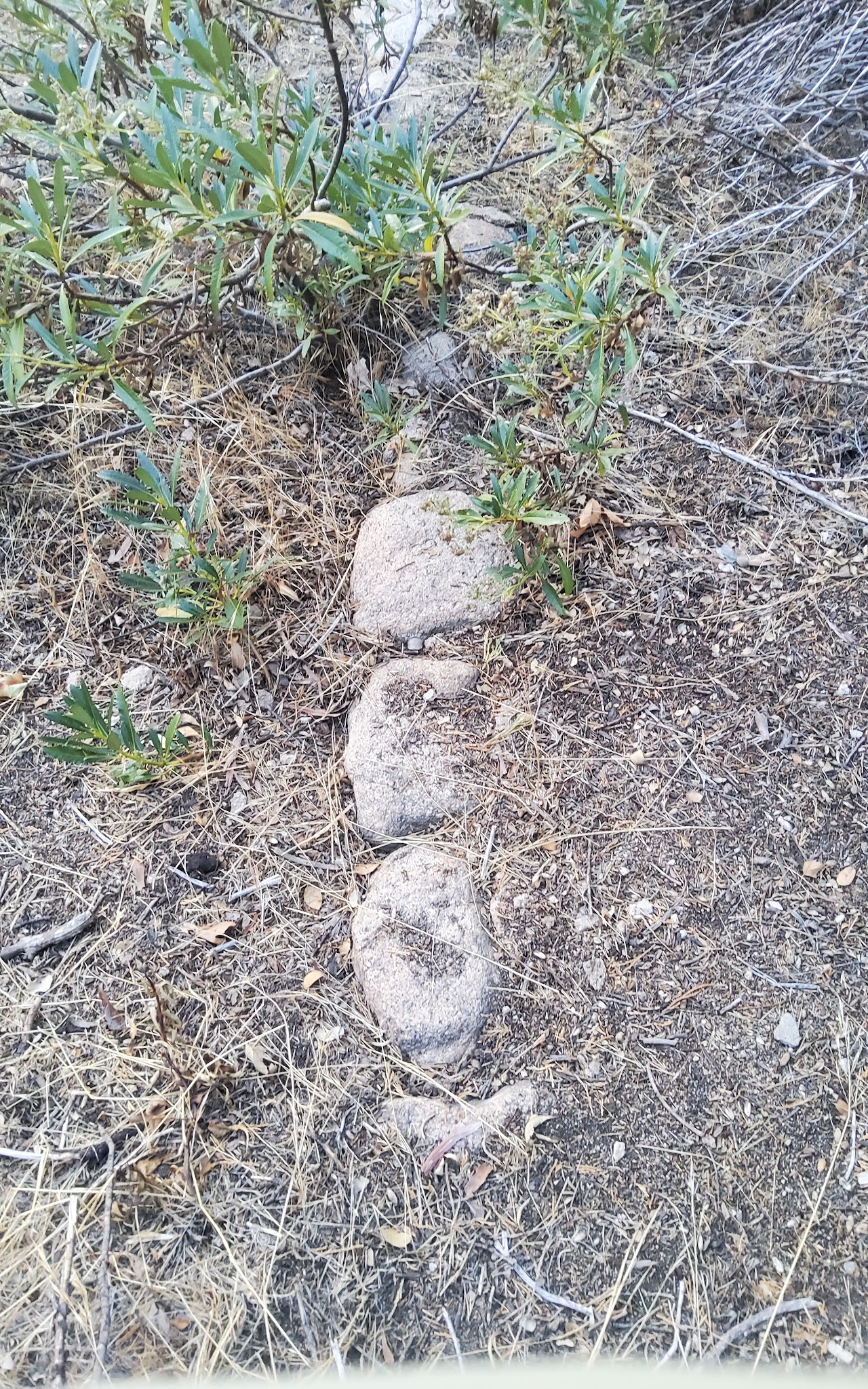 Clark'S Ranch Yellow Post Site