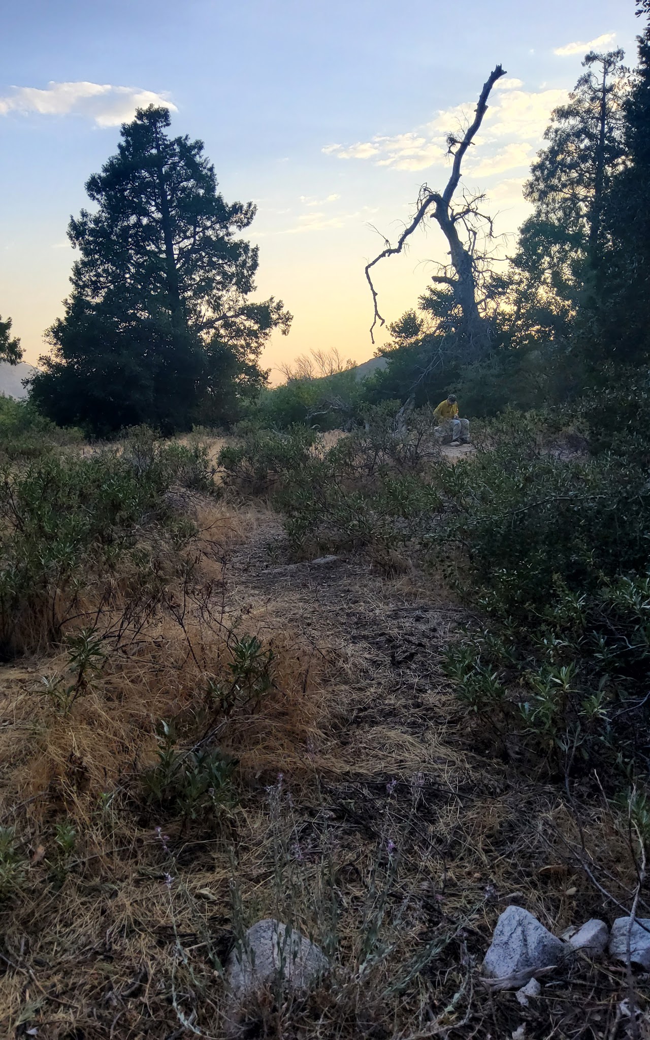 Clark'S Ranch Yellow Post Site