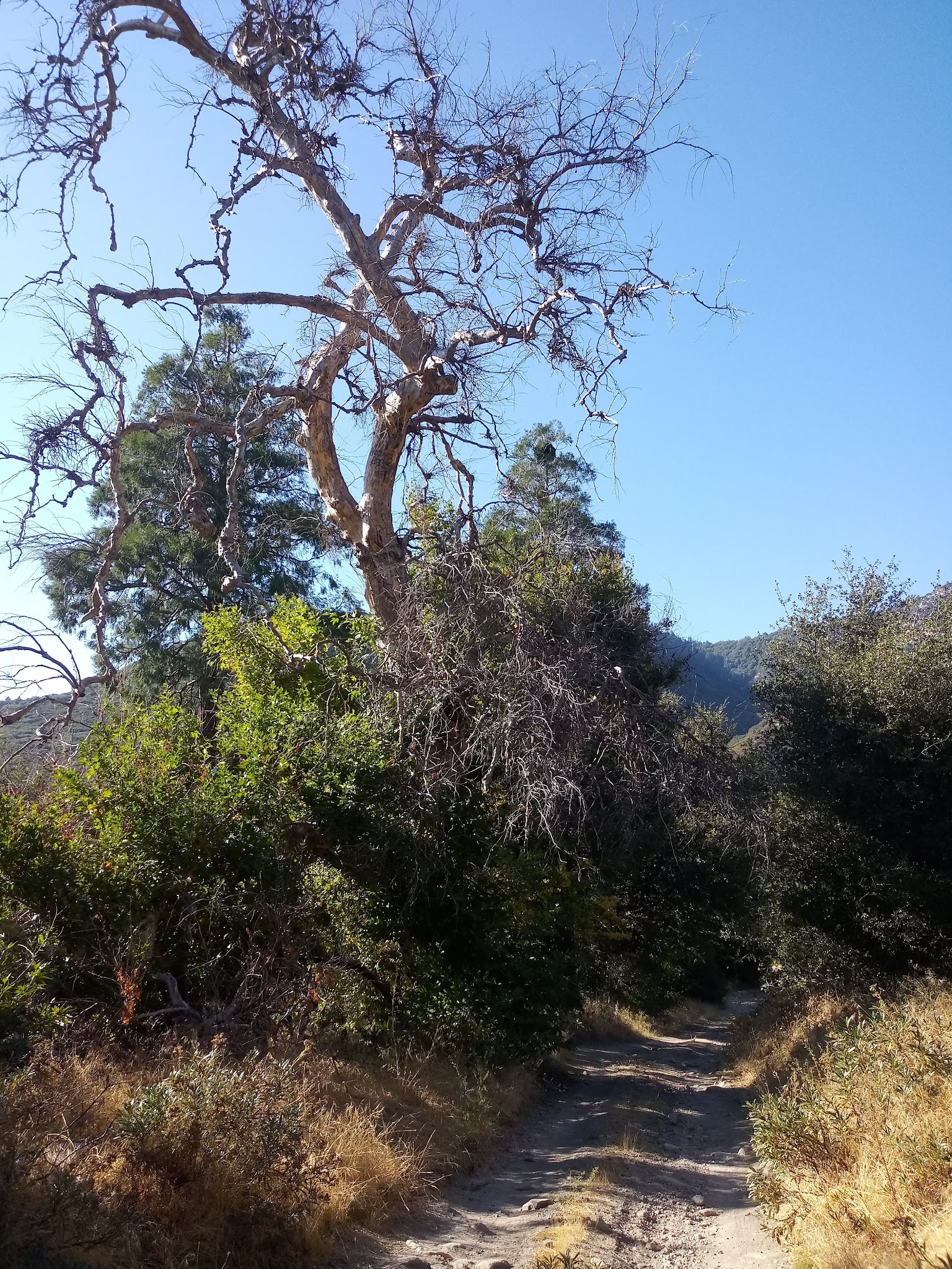 Clark'S Ranch Yellow Post Site