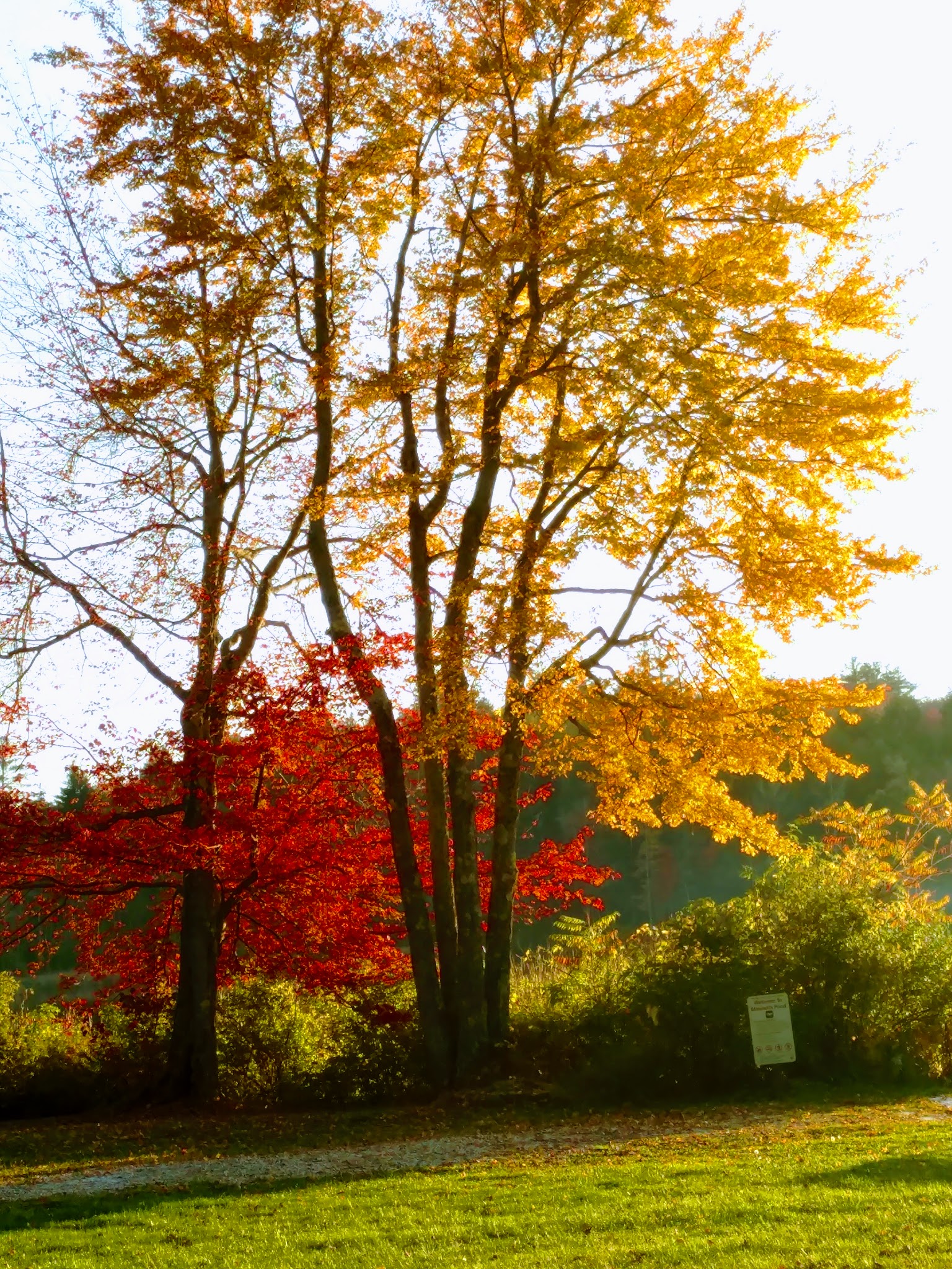 Clarksburg State Park