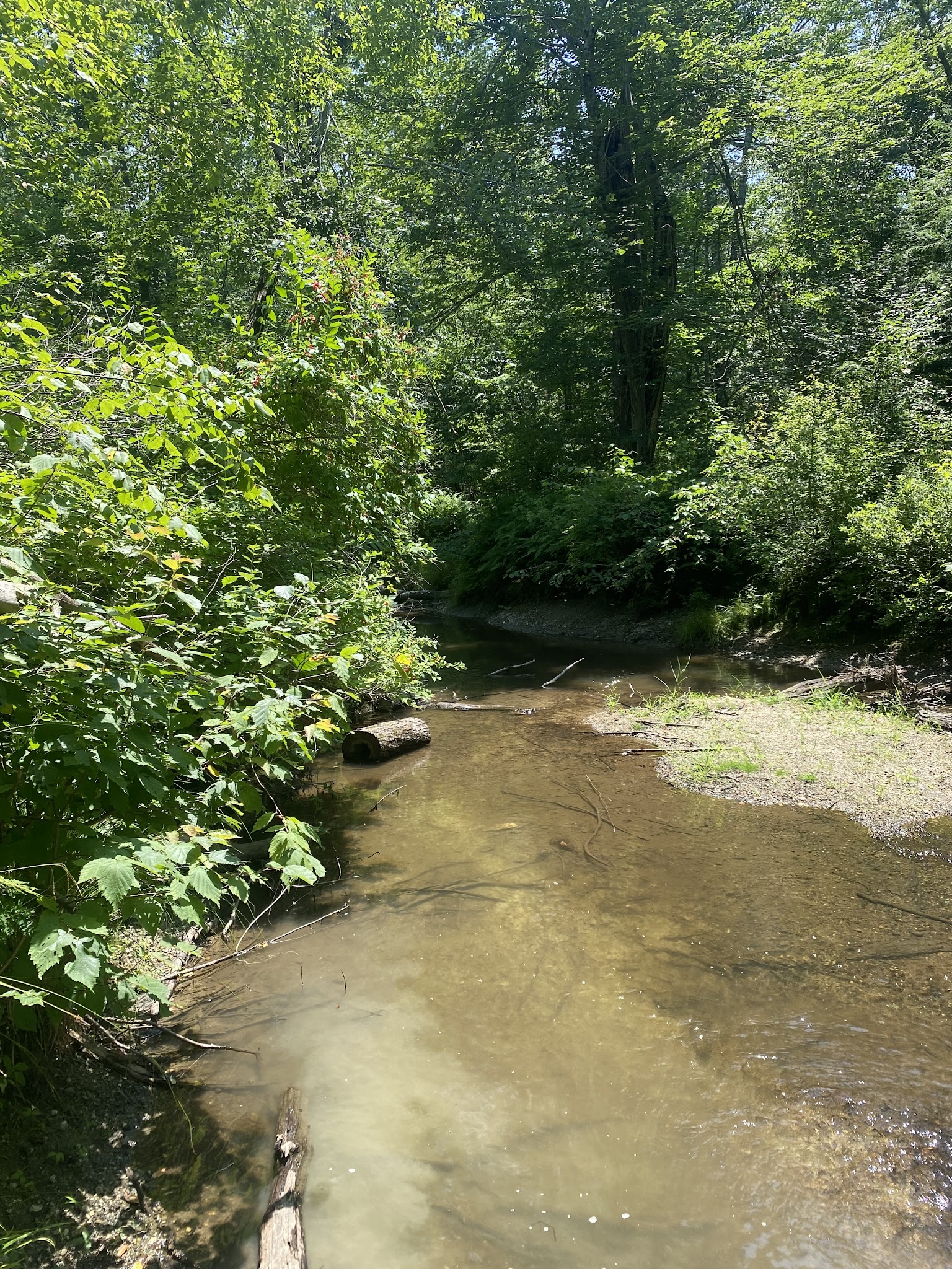 Clarksburg State Park