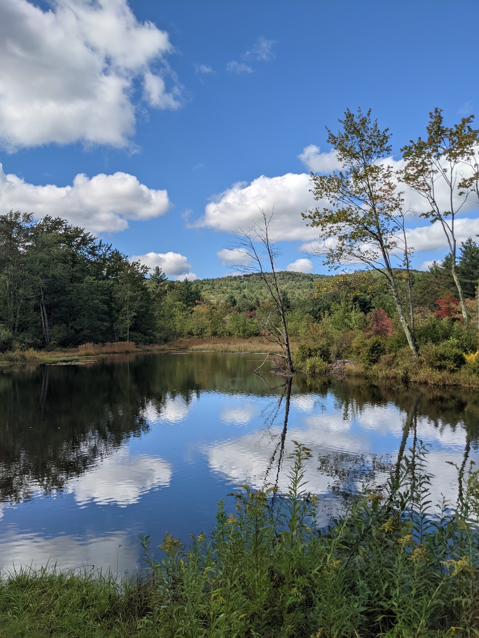 Clarksburg State Park