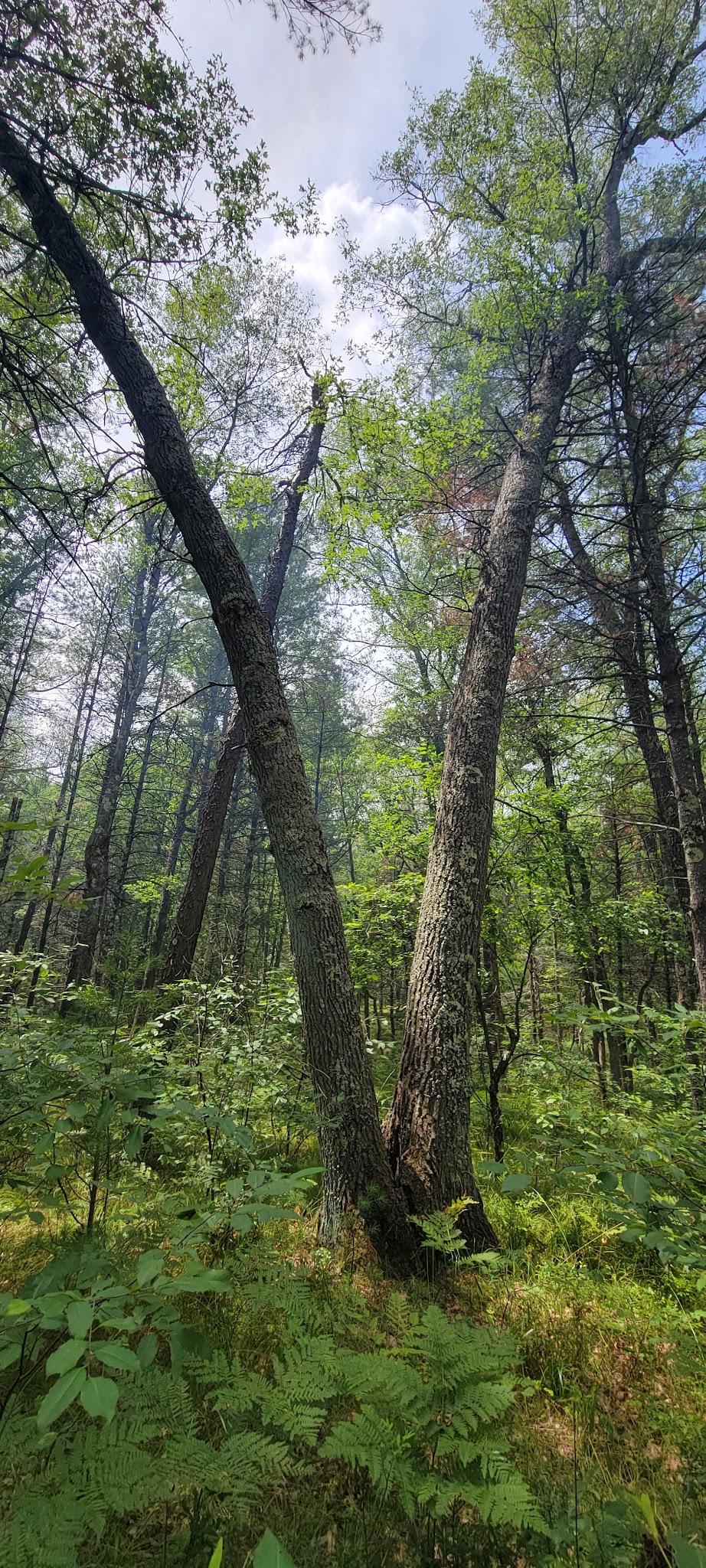 Claybanks Campground