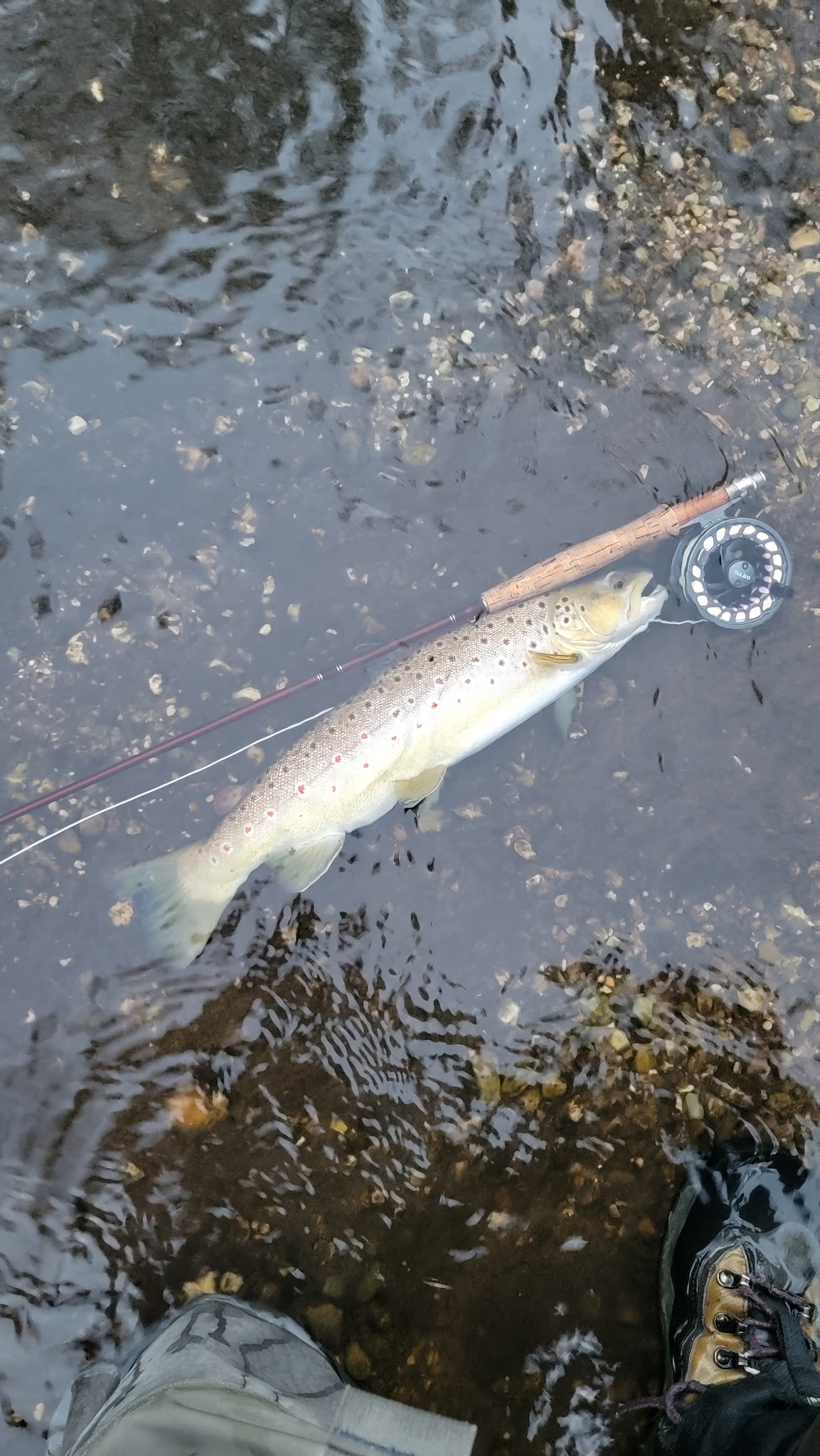 Claybanks Campground