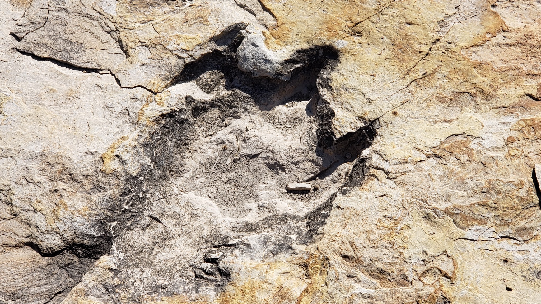Clayton Lake State Park And Dinosaur Trackways