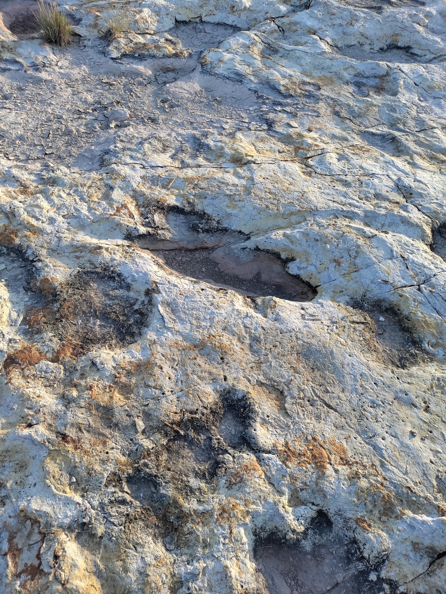 Clayton Lake State Park And Dinosaur Trackways