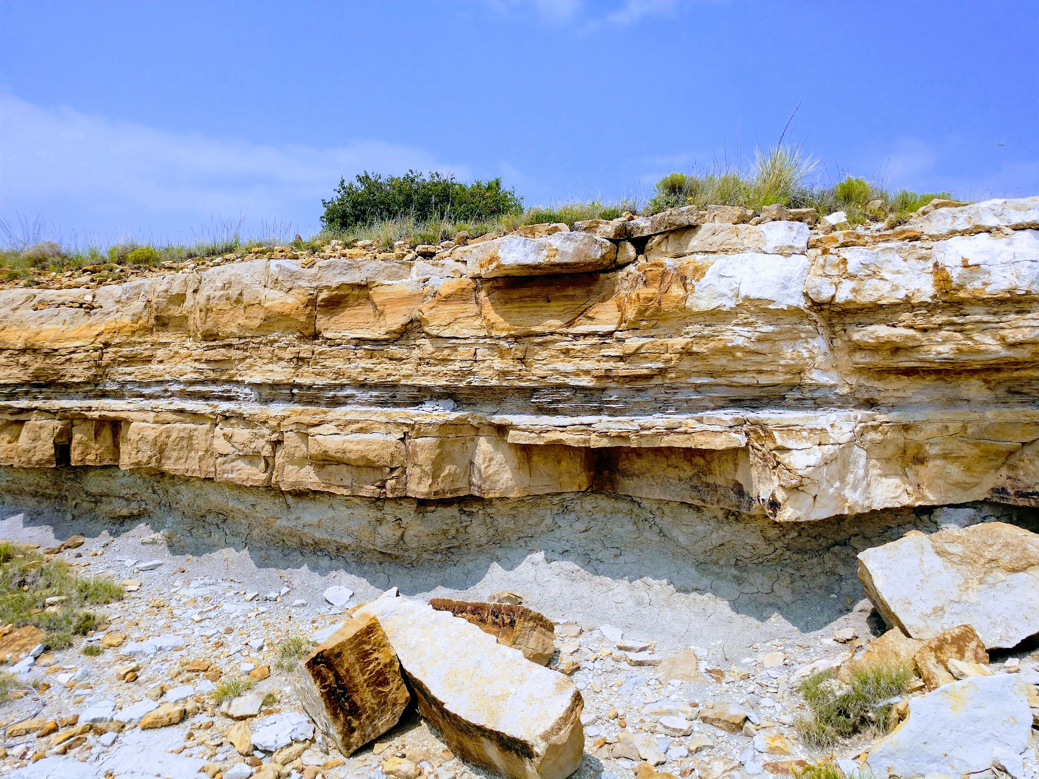 Clayton Lake State Park And Dinosaur Trackways