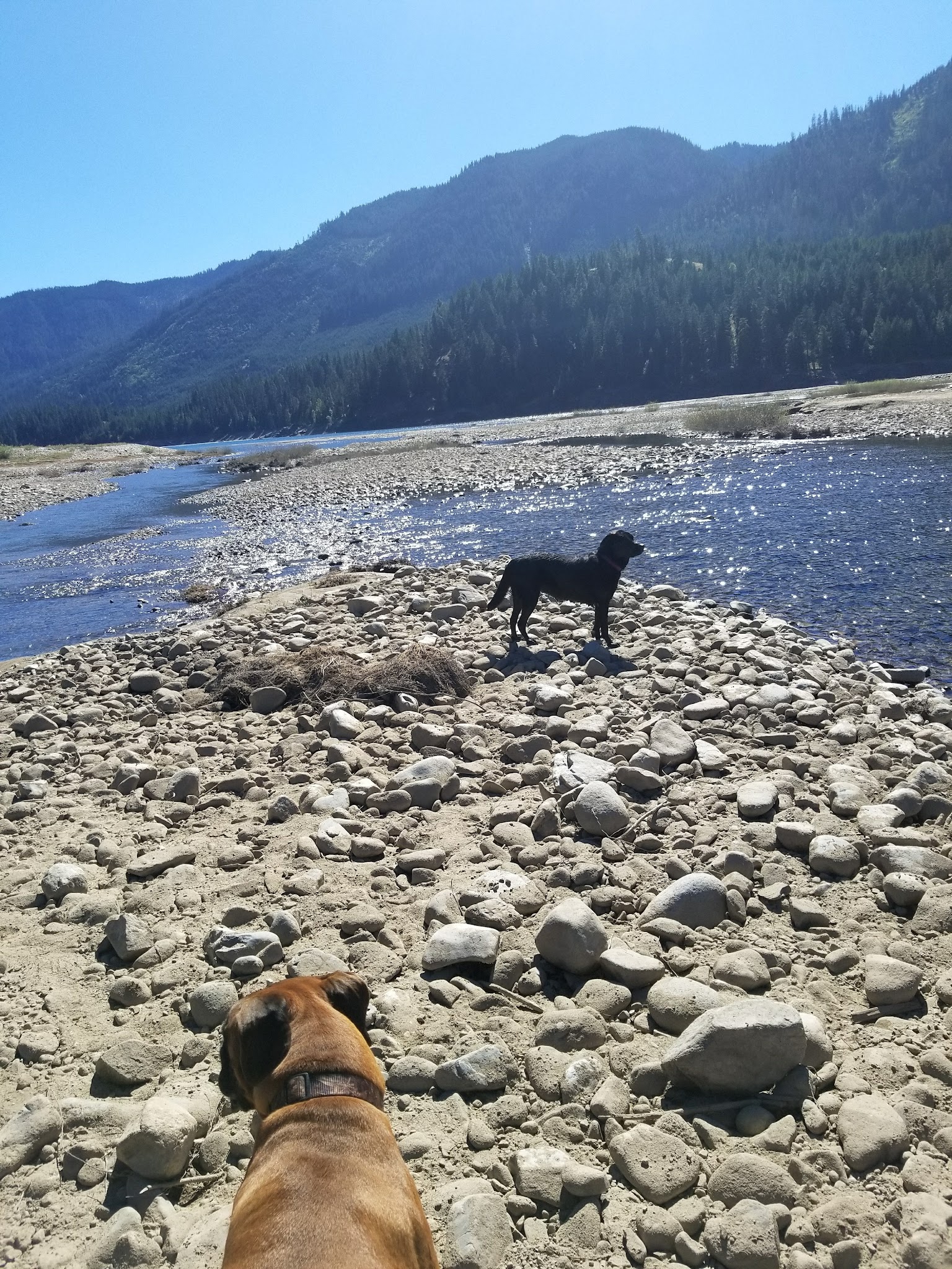 Cle Elum River Group Site