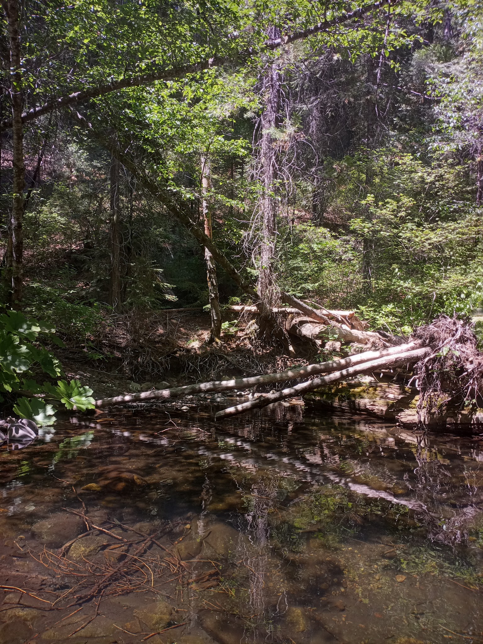 Clear Creek Campground