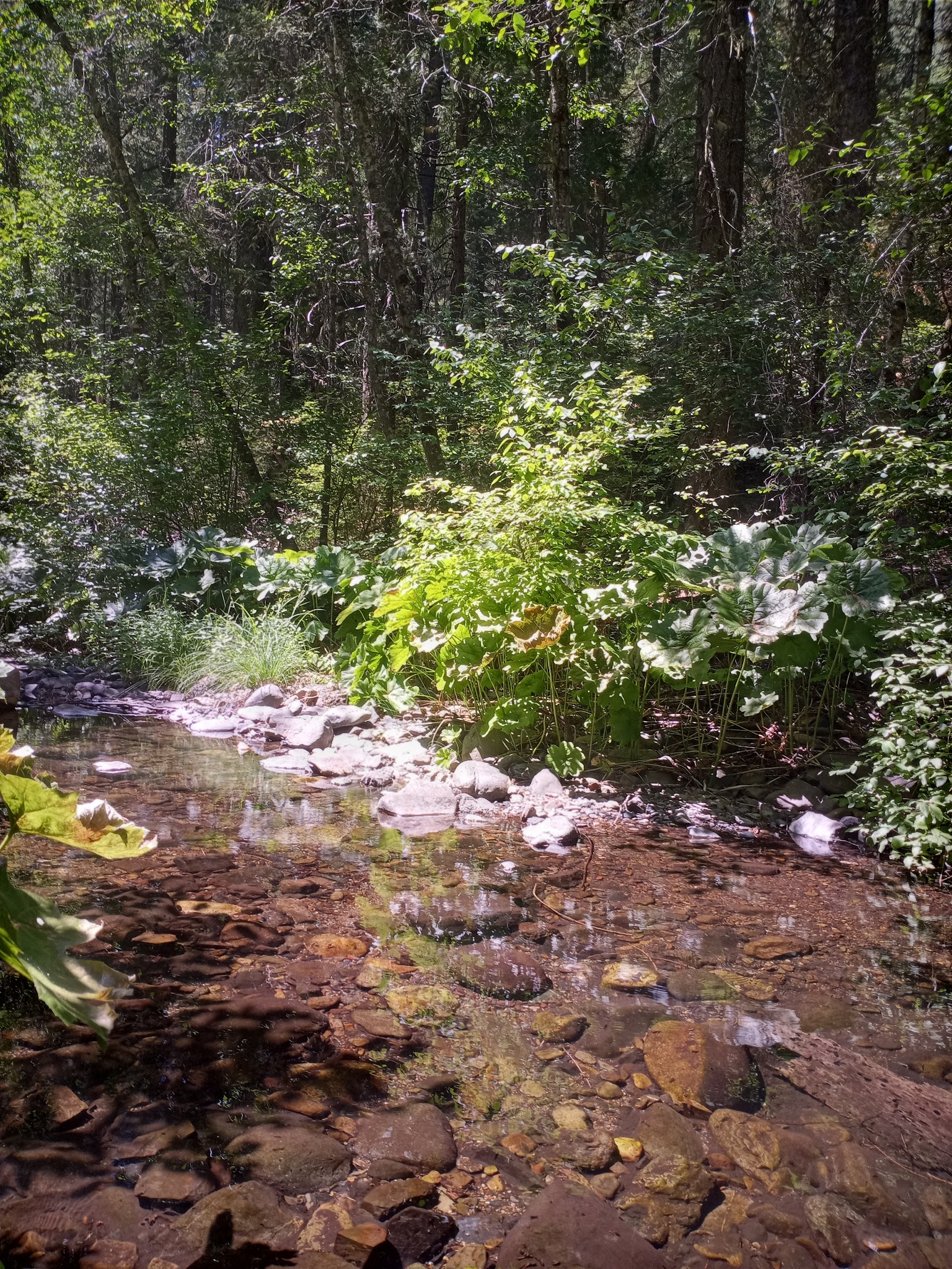 Clear Creek Campground
