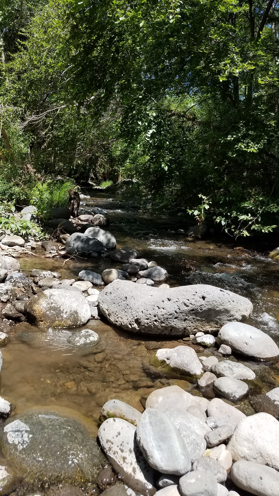 Clear Creek Campground (Az)