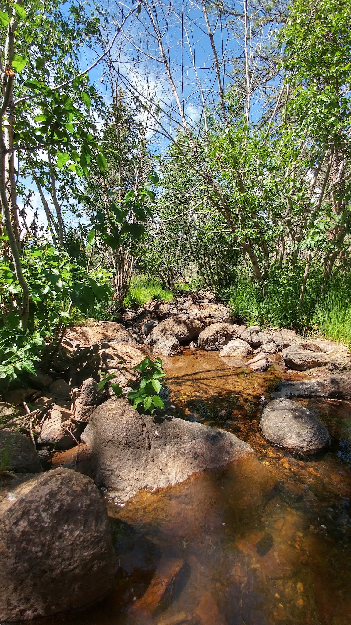 Clear Creek Campground (Nm)