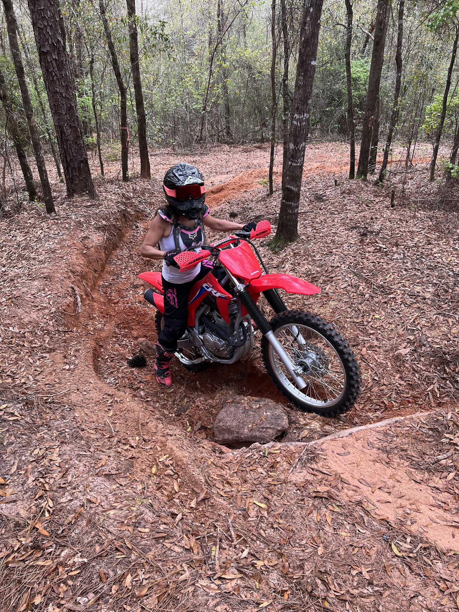 Clear Creek Ohv Riding Area Blackwater River State Forest