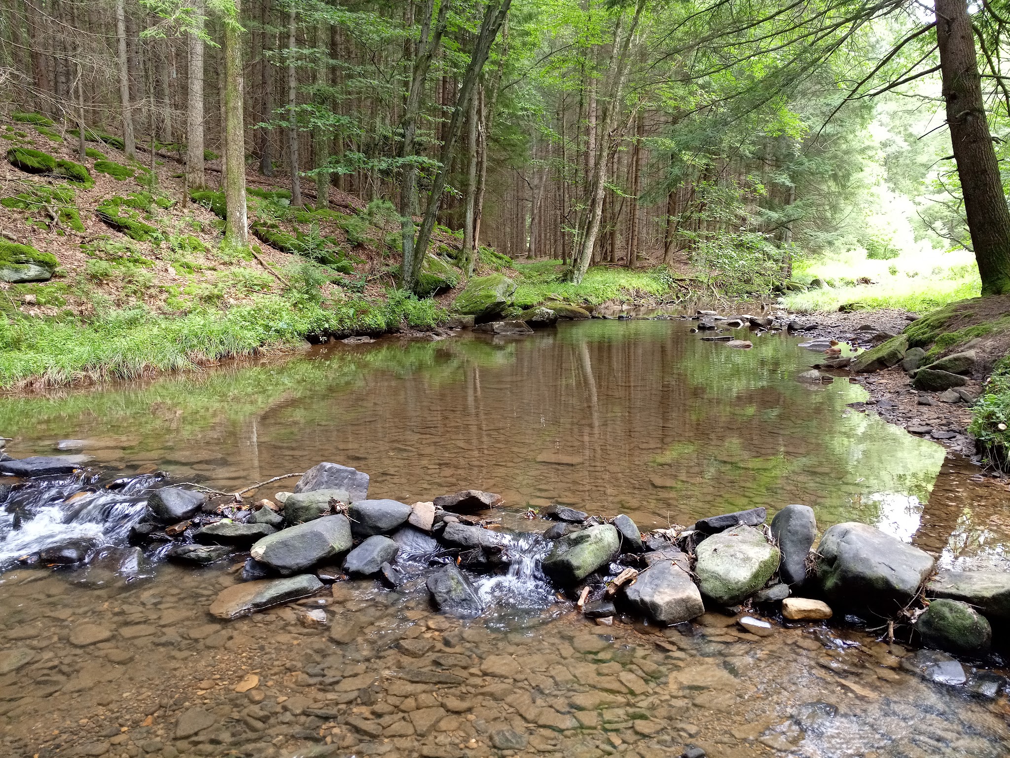 Clear Creek State Park