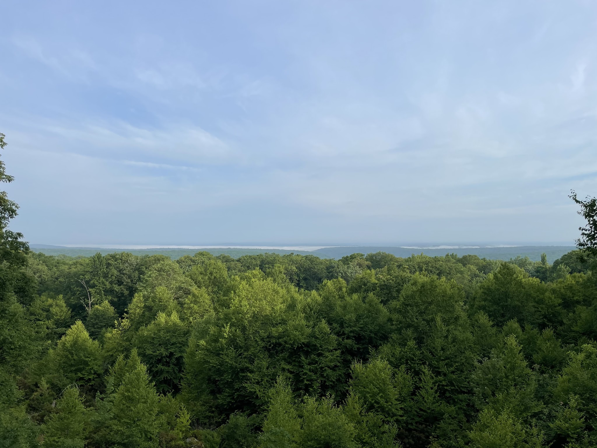 Clear Creek State Forest
