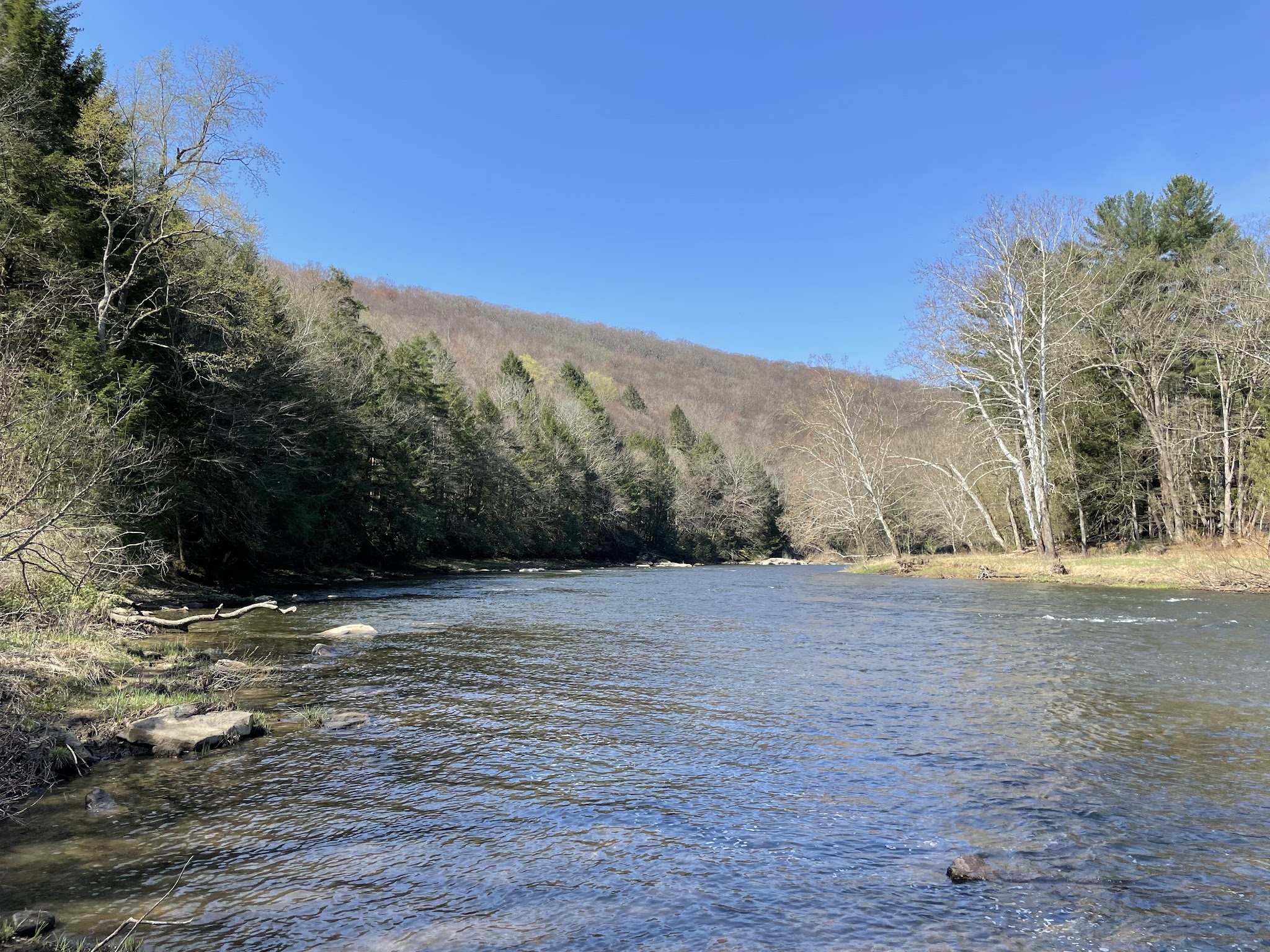 Clear Creek State Forest
