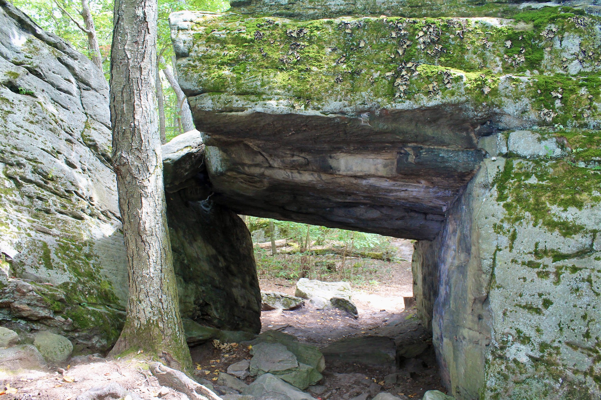 Clear Creek State Forest