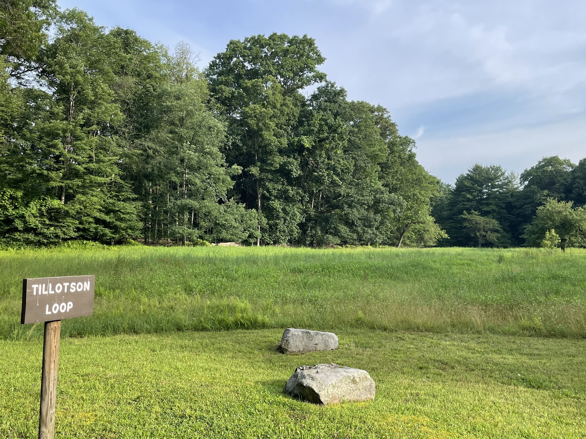 Clear Creek State Forest