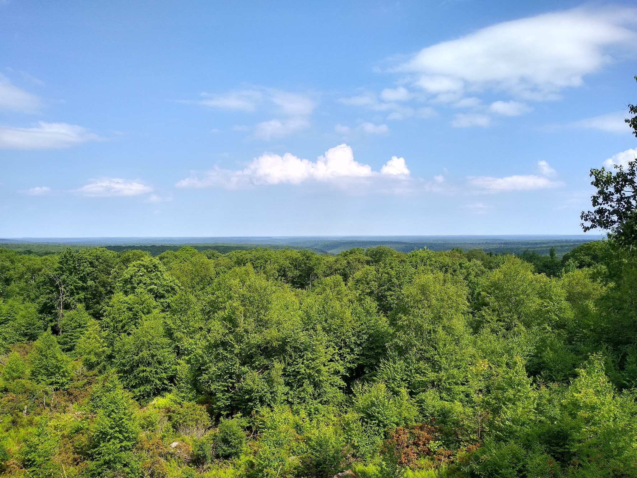 Clear Creek State Park