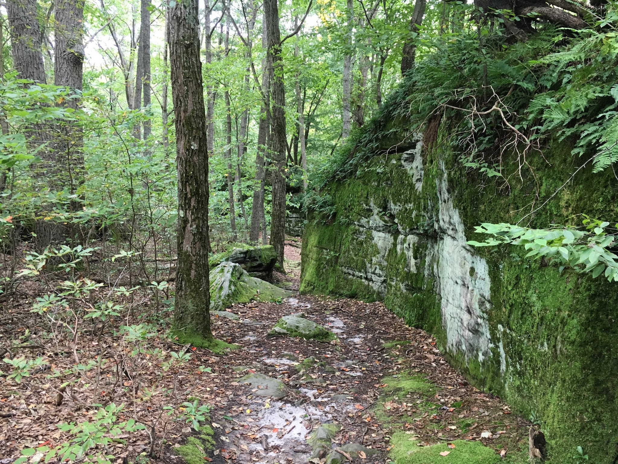 Clear Creek State Park
