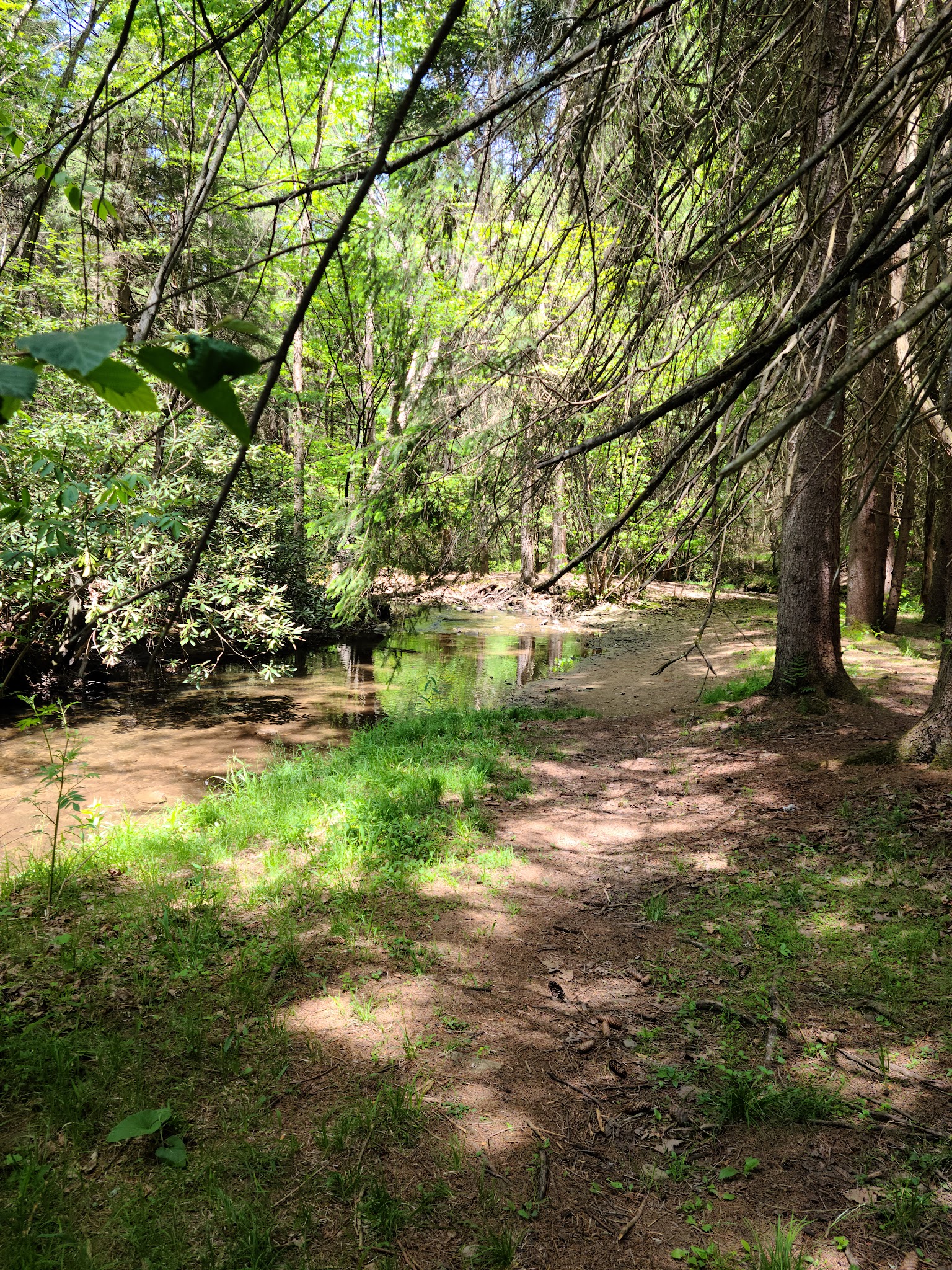 Clear Creek State Park