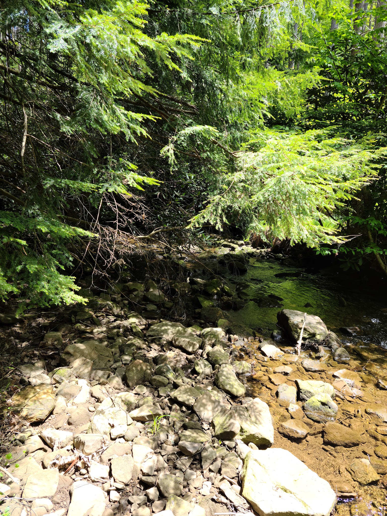 Clear Creek State Park