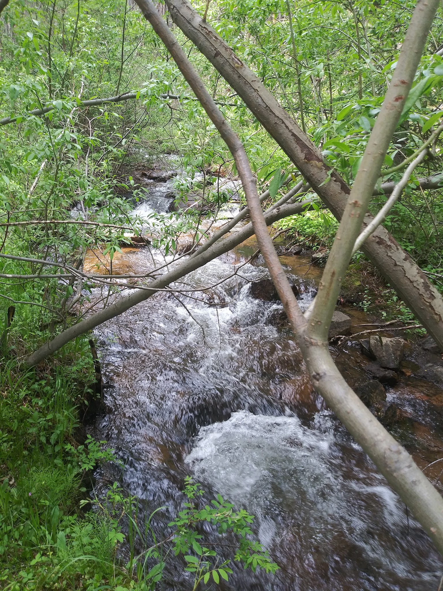 Whiteside Picnic Area