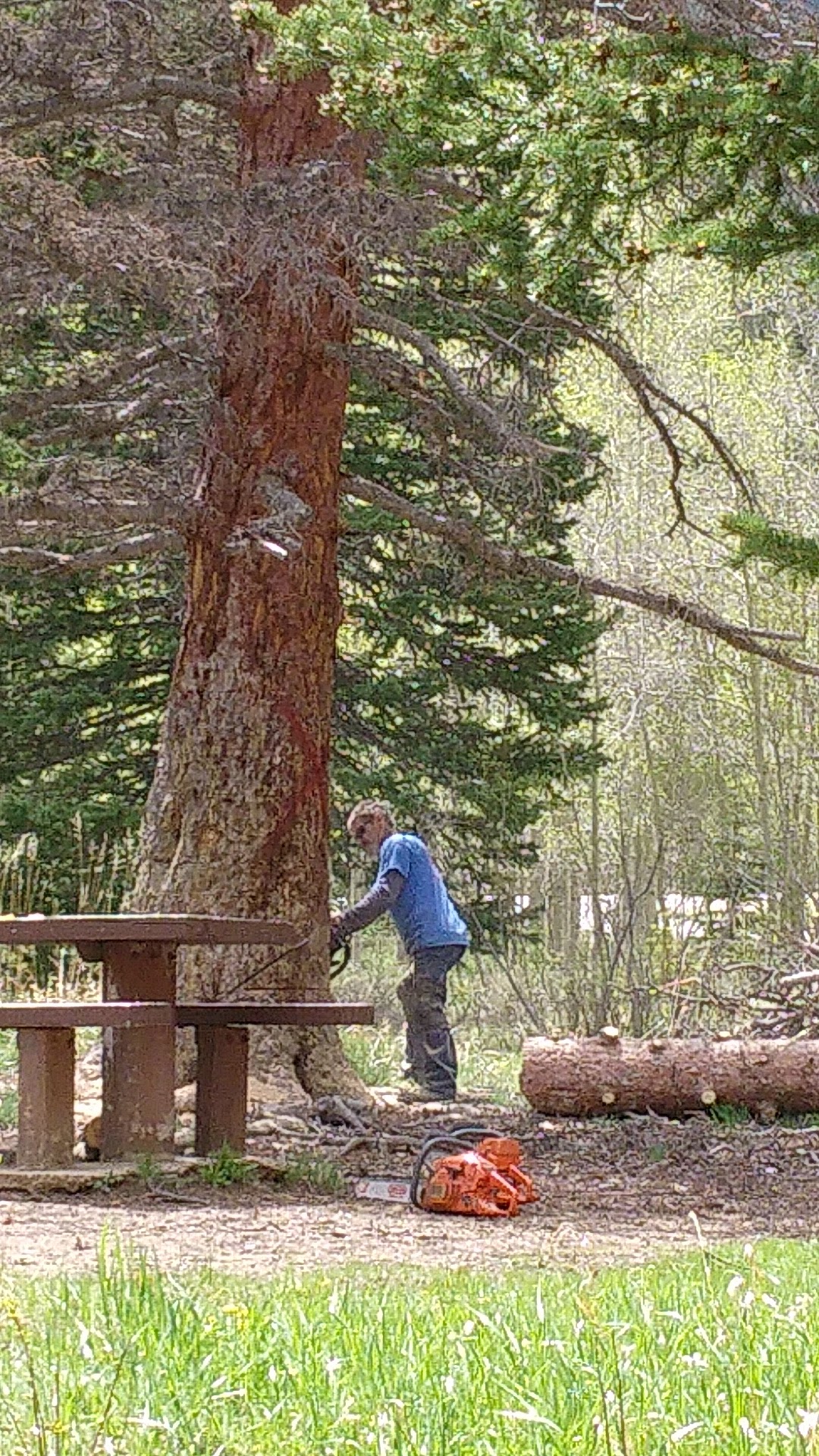 Clear Lake Campground