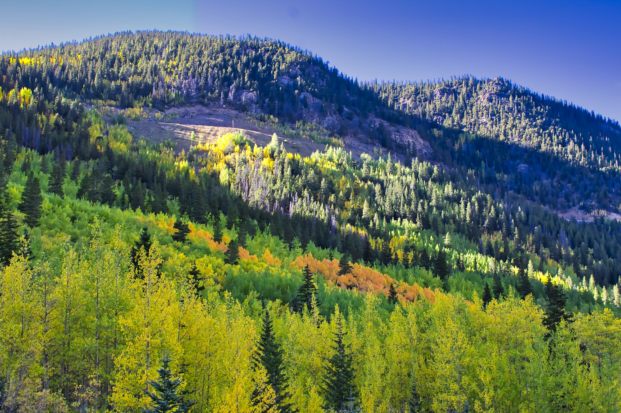 Clear Lake Campground