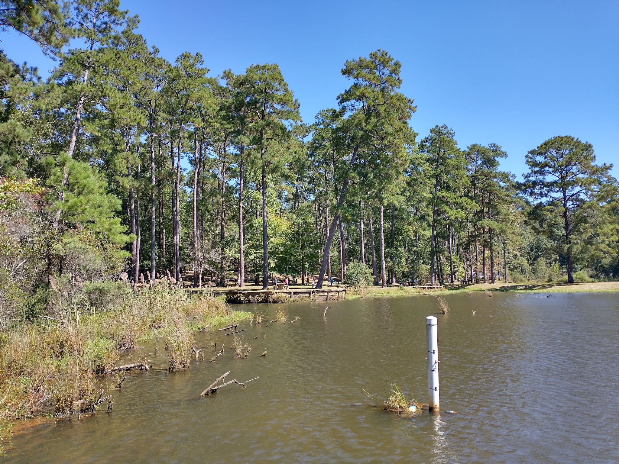 Clear Springs Recreation Area (Ms)