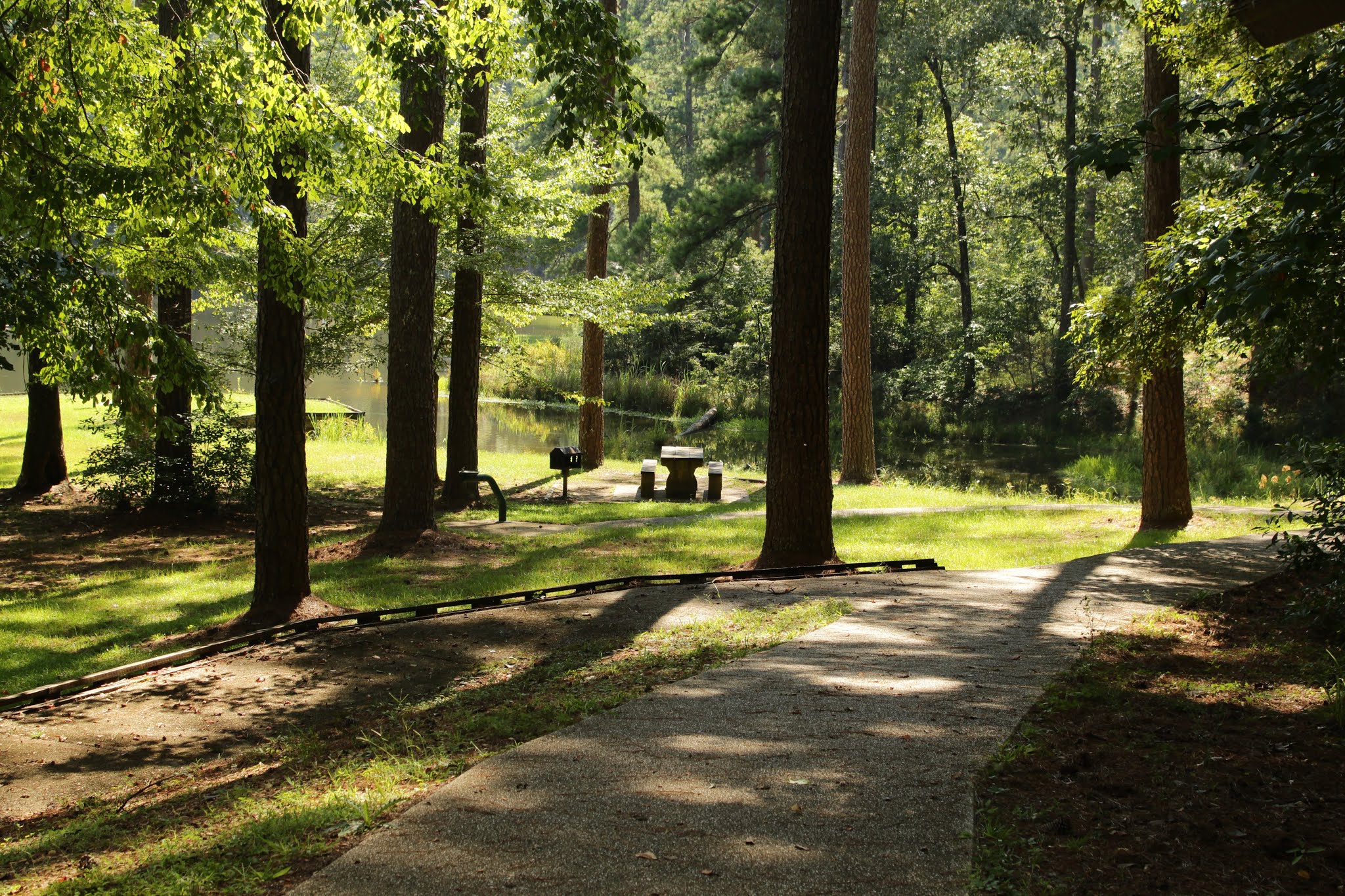 Clear Springs Recreation Area (Ms)
