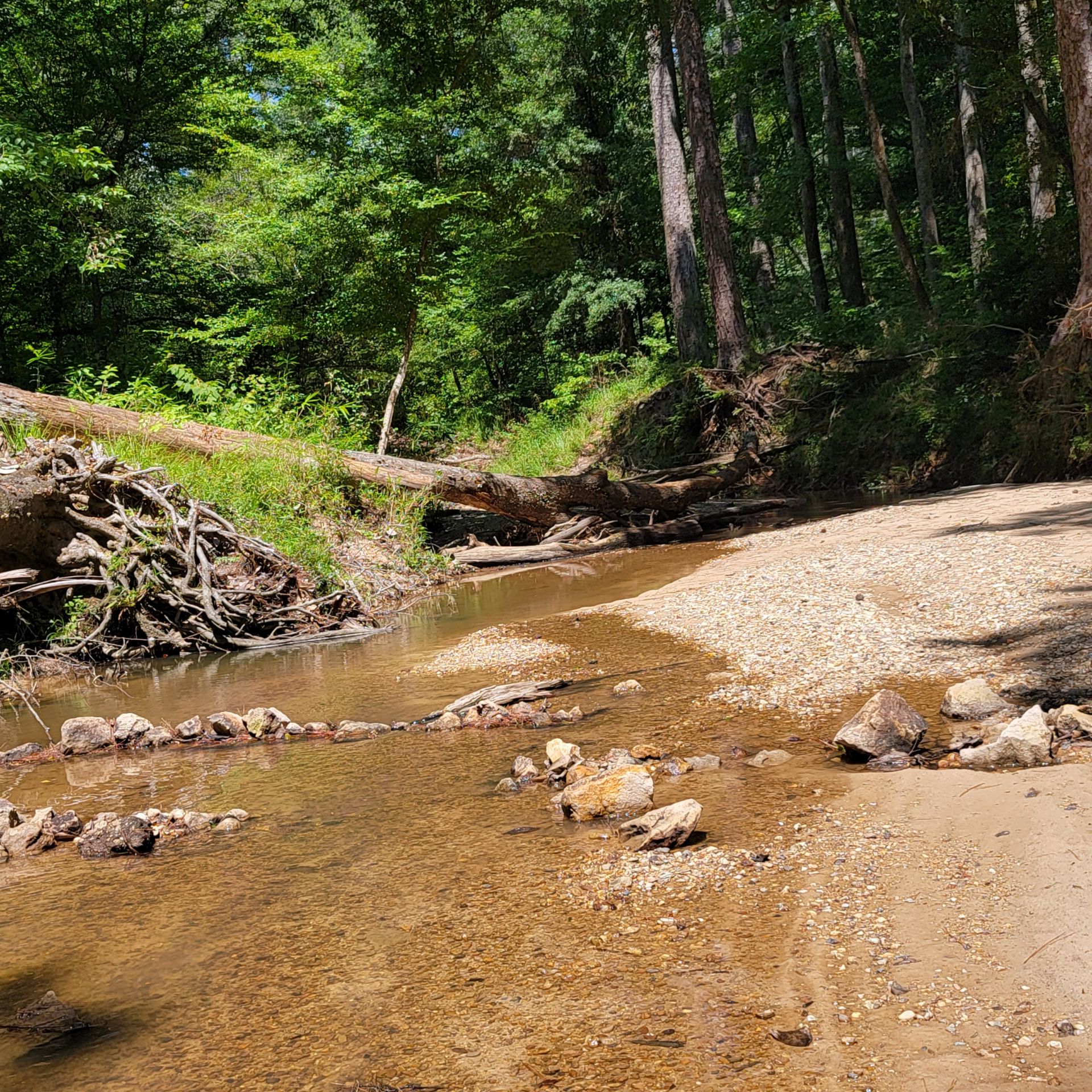 Clear Springs Recreation Area (Ms)